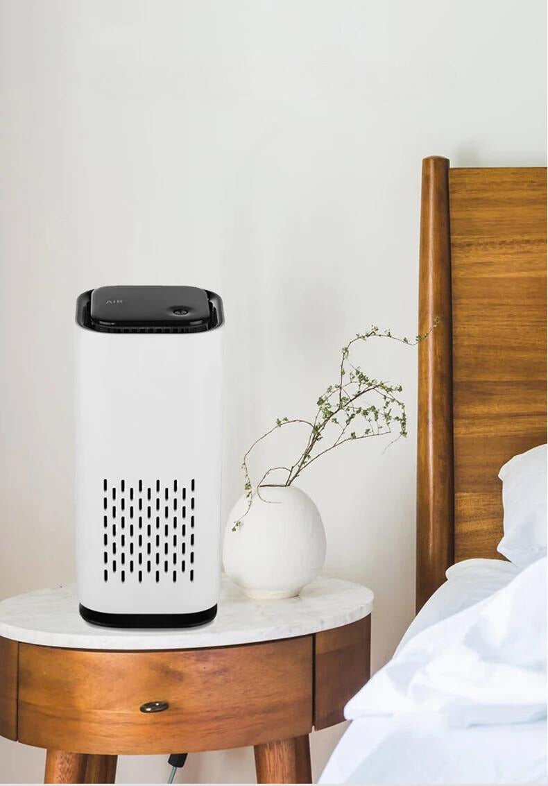 Negative Ion Air Purifier with USB Connection - Ideal Accessory for Home and Car